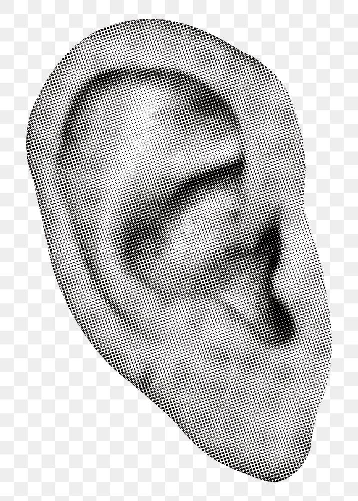 Gray ear png sticker, transparent background