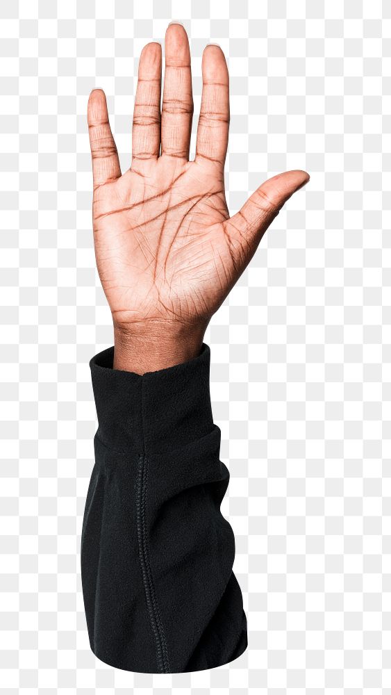 Png hand showing palm sticker, transparent background