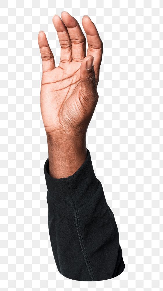 Png hand showing palm sticker, transparent background