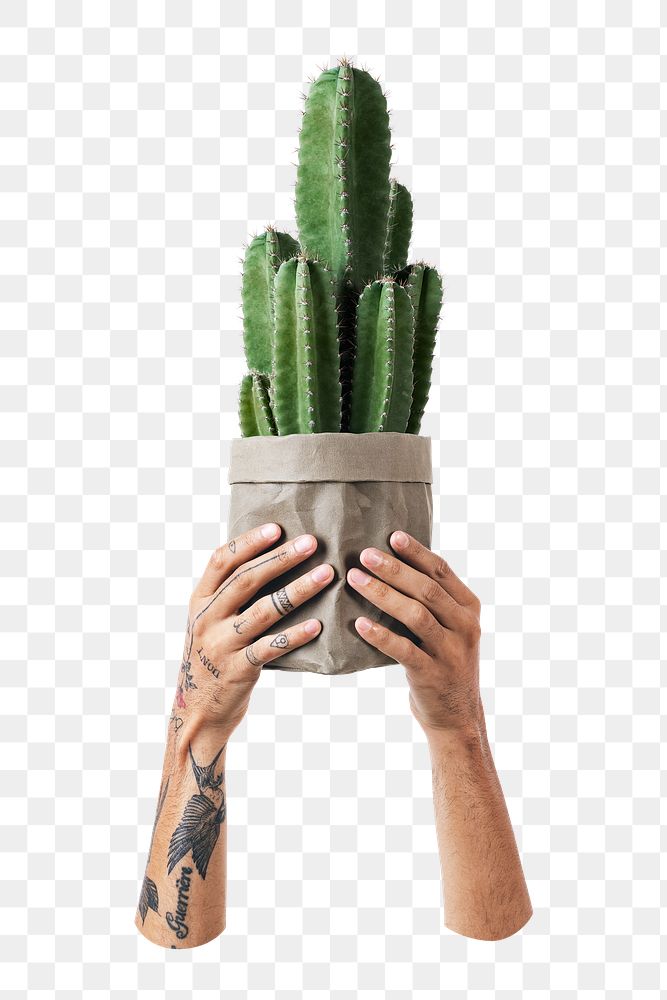 Cactus lover png sticker, transparent background