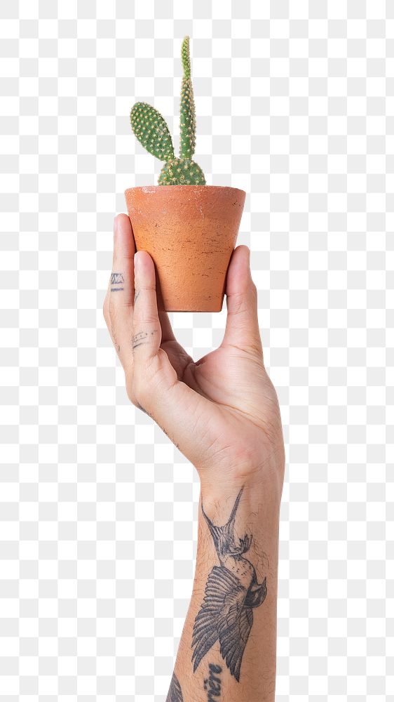Png tattooed hand mockup holding potted bunny ear cactus