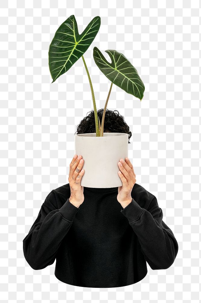 Plant parent png sticker, transparent background