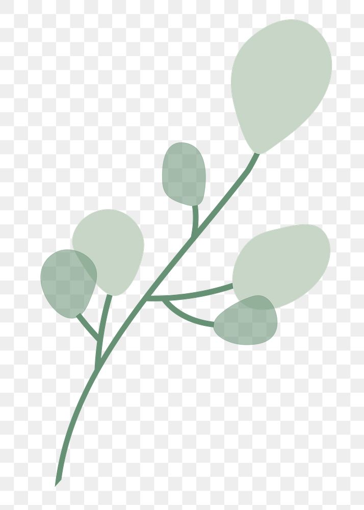 Aesthetic leaf branch png sticker, transparent background
