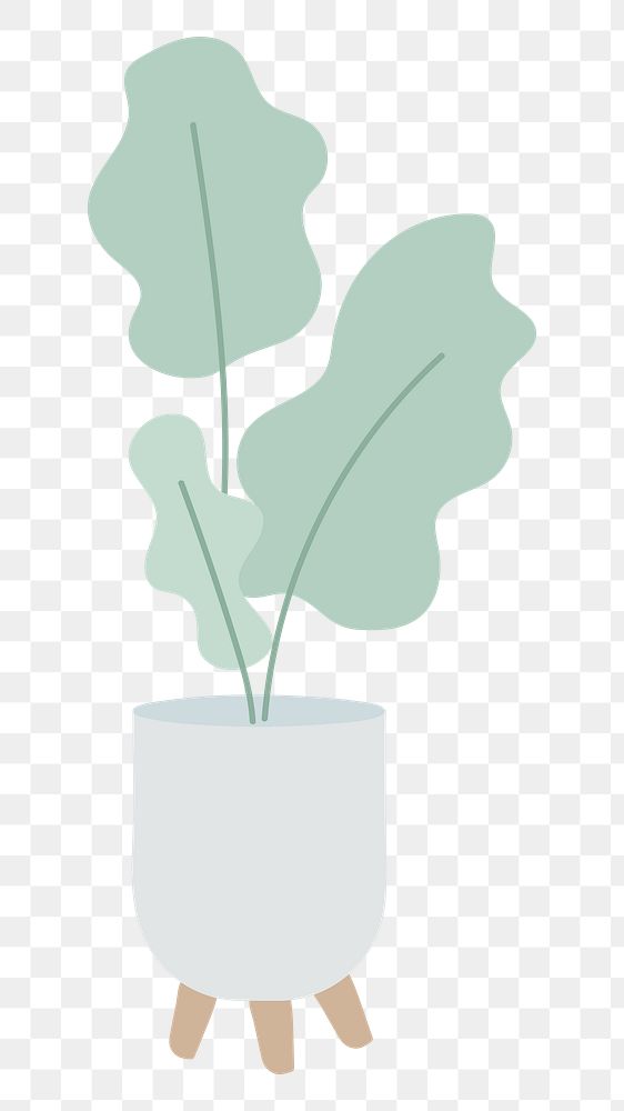 Cute houseplant png sticker, transparent background
