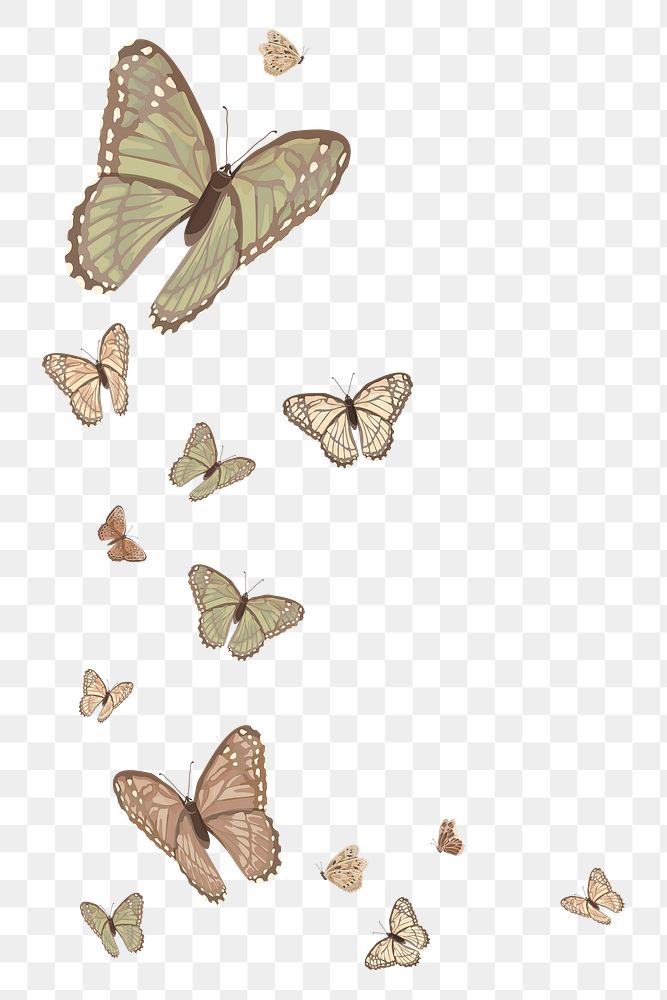Butterfly border png sticker illustration, transparent background