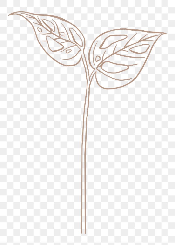 Leaf doodle png sticker, transparent background