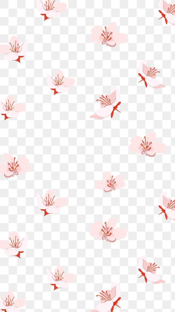 Cherry blossom flower png pattern, transparent background