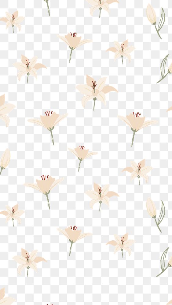 White lily flower png pattern, transparent background
