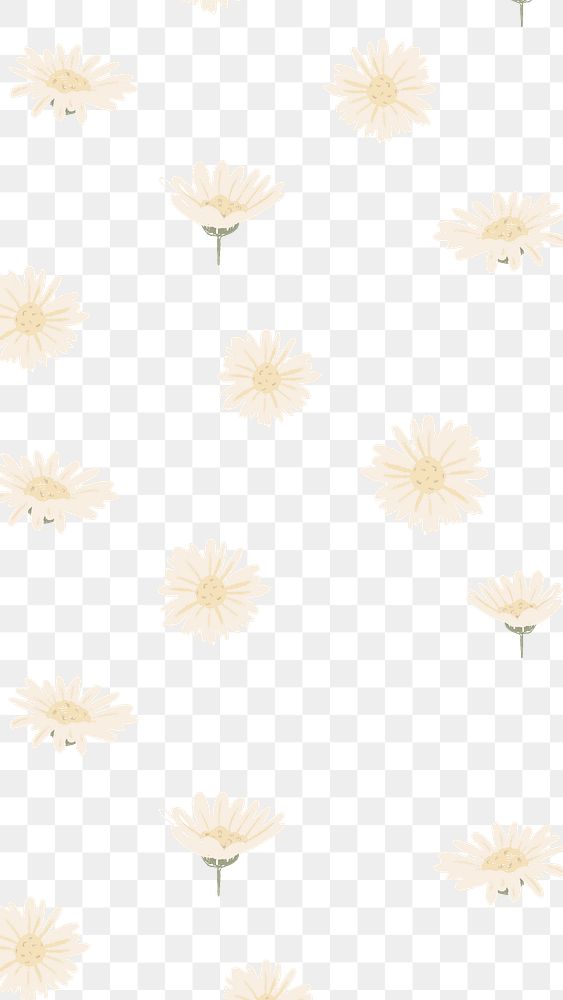 White daisy flower png pattern, transparent background