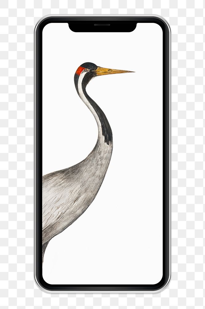 Vintage goose png smartphone screen, transparent background