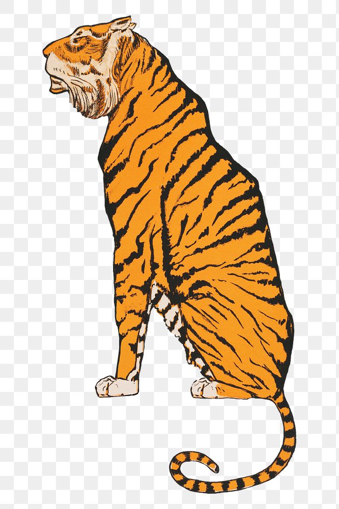 Aesthetic tiger  png on transparent background.   Remastered by rawpixel