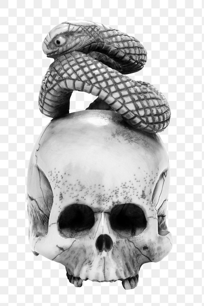 Aesthetic skull with snake png on transparent background. Remixed by rawpixel.