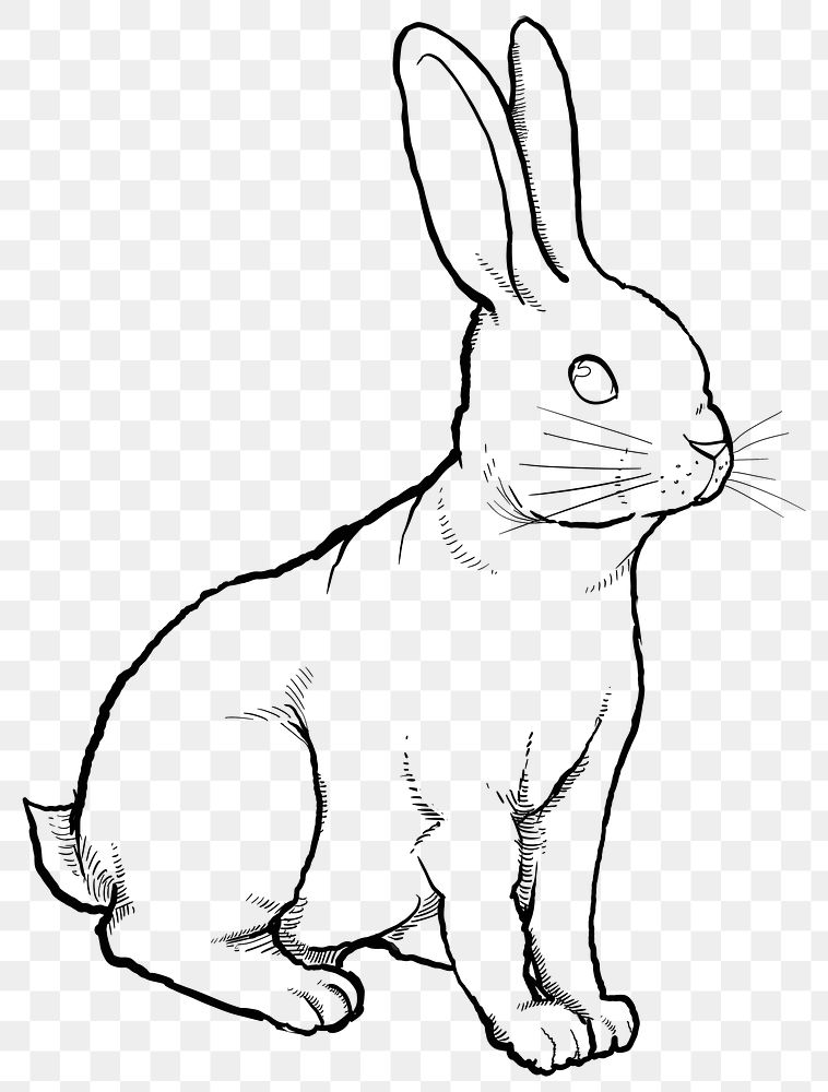 Rabbit png sticker, Chinese zodiac animal in line art design, transparent background