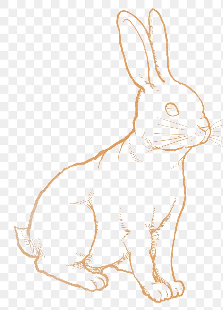 Gold rabbit png sticker, Chinese zodiac animal in line art design, transparent background