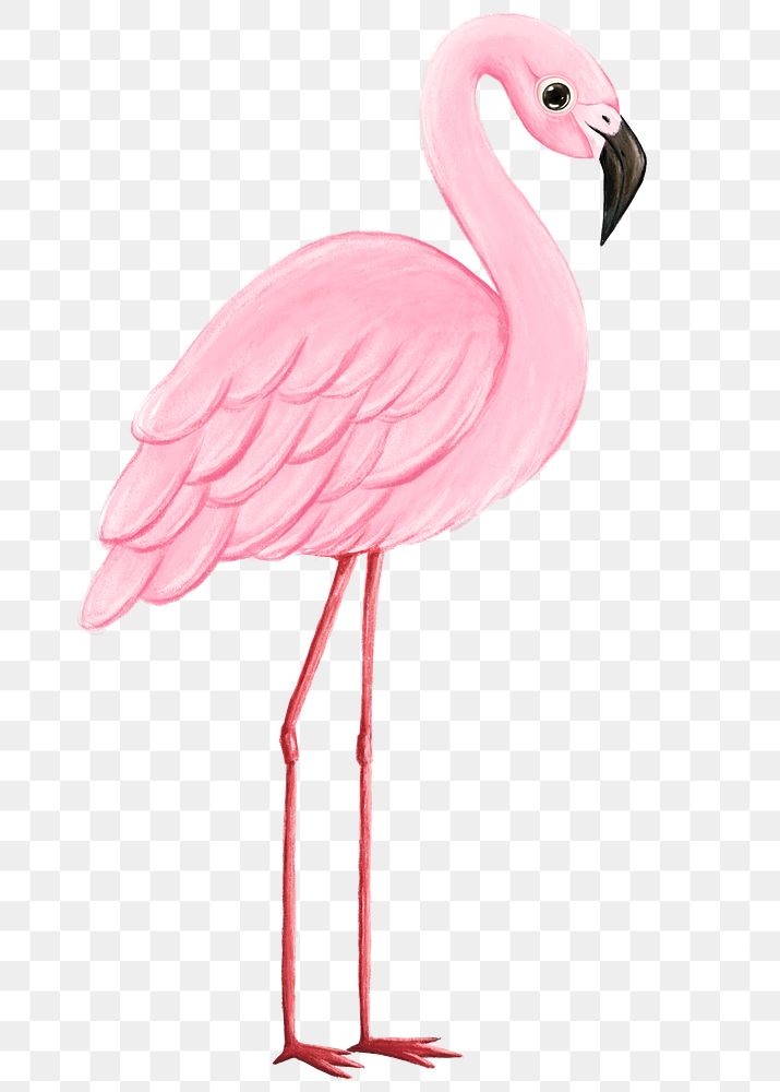 Flamingo png sticker, cute animal illustration, transparent background