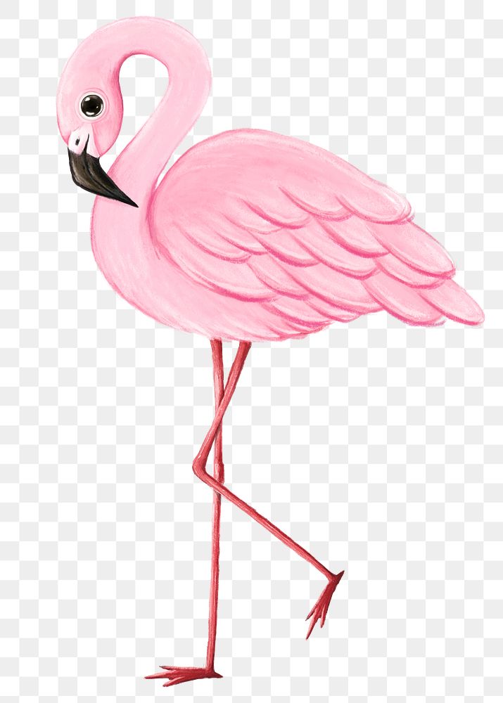 Flamingo png sticker, cute animal illustration, transparent background