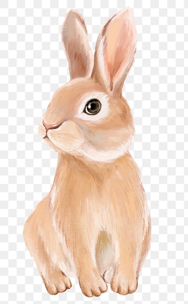 Rabbit png sticker, cute animal illustration, transparent background