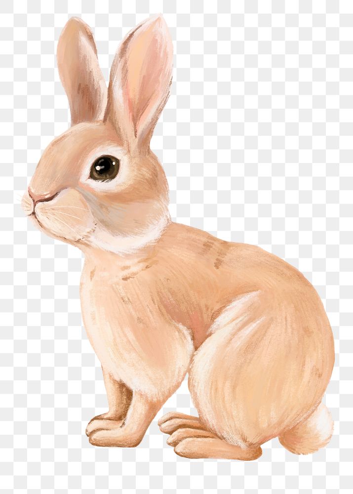 Rabbit png sticker, cute animal illustration, transparent background