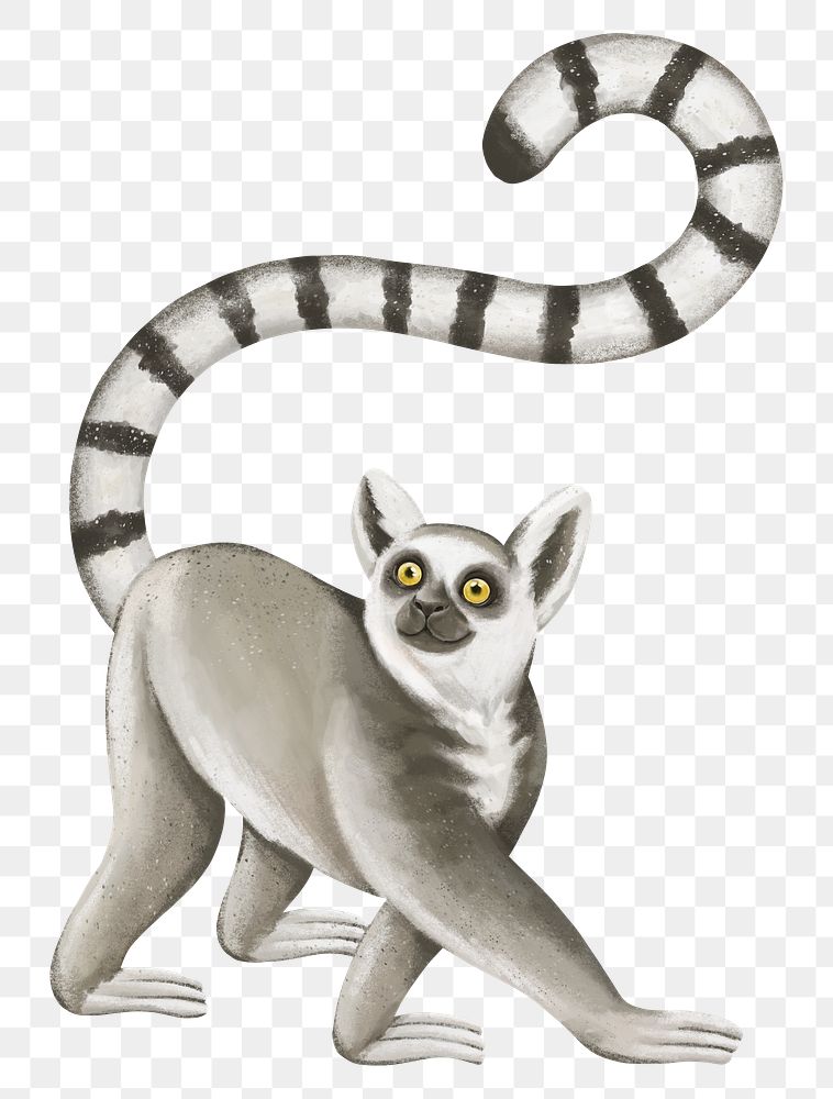 Lemur png sticker, cute animal illustration, transparent background