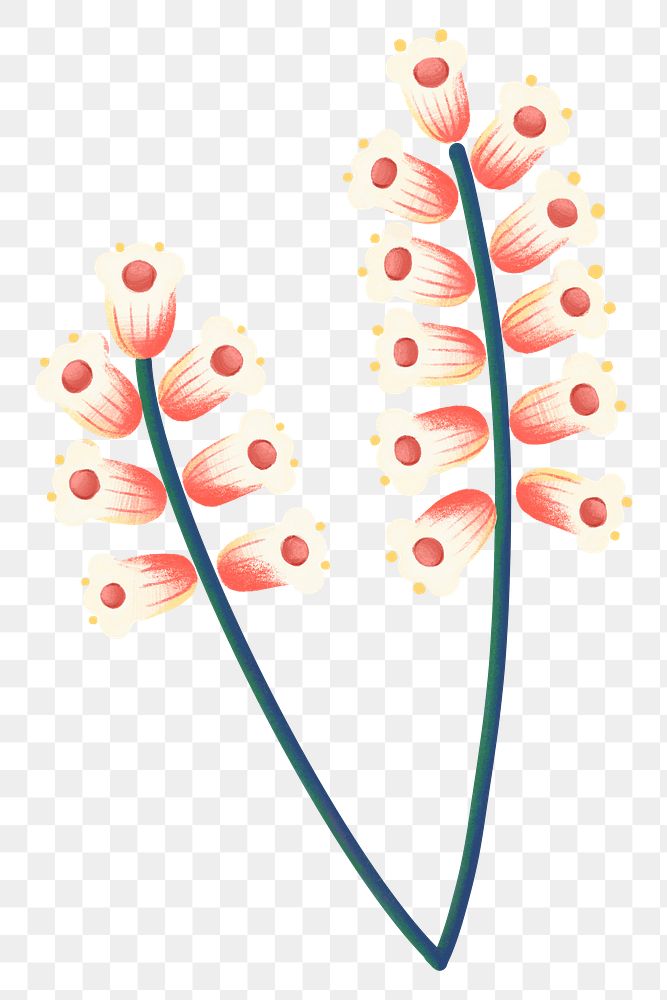 Tropical flowers png sticker, botanical illustration, transparent background
