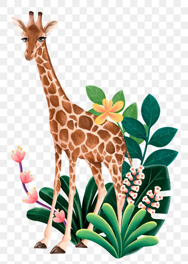 Giraffe wildlife png sticker, cute animal illustration, transparent background