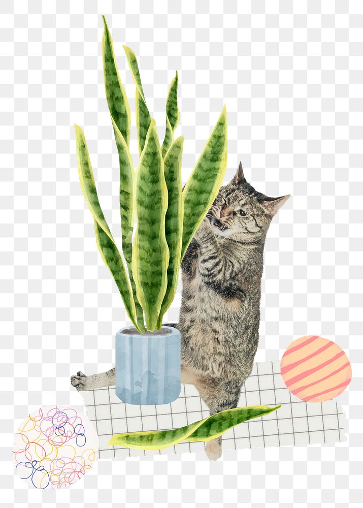 Cat ruining houseplant png sticker, transparent background