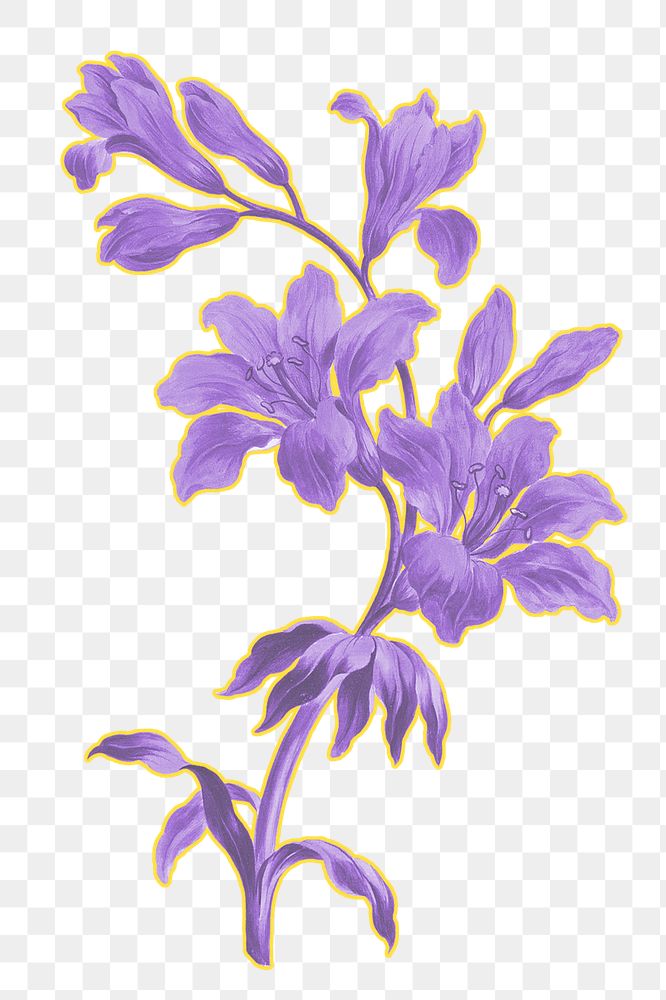 Purple flower png botanical sticker, transparent background, remixed by rawpixel