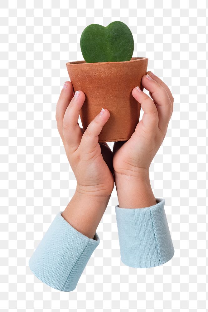 Holding plant png sticker, transparent background