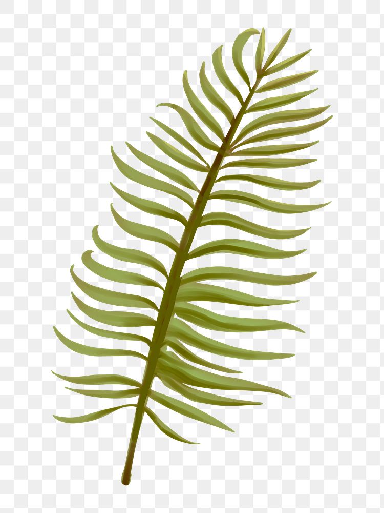 Aroca palm leaf png illustration sticker, transparent background