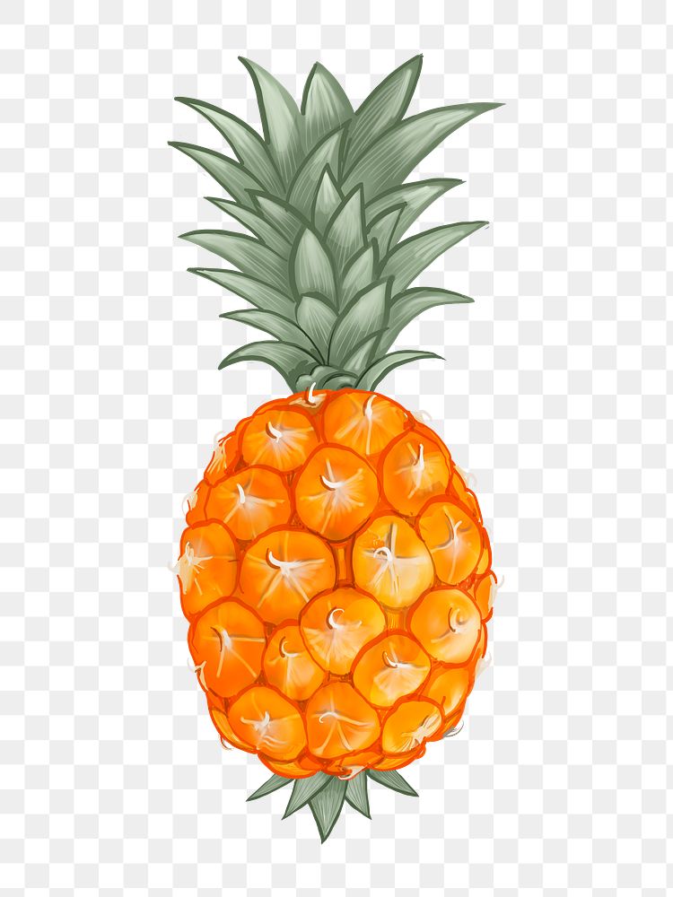Whole fresh tropical pineapple illustration png illustration sticker, transparent background