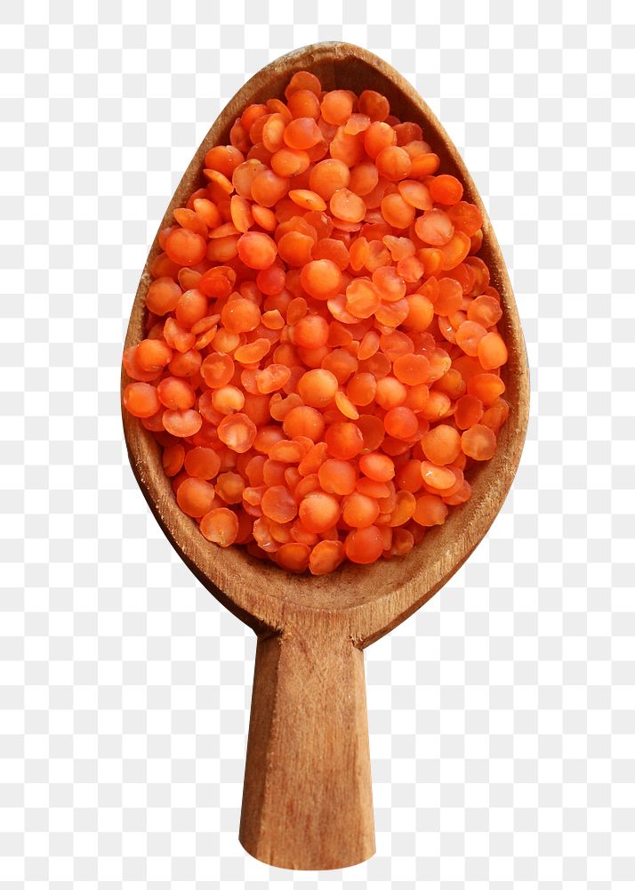Red lentils on spoon png food sticker, transparent background