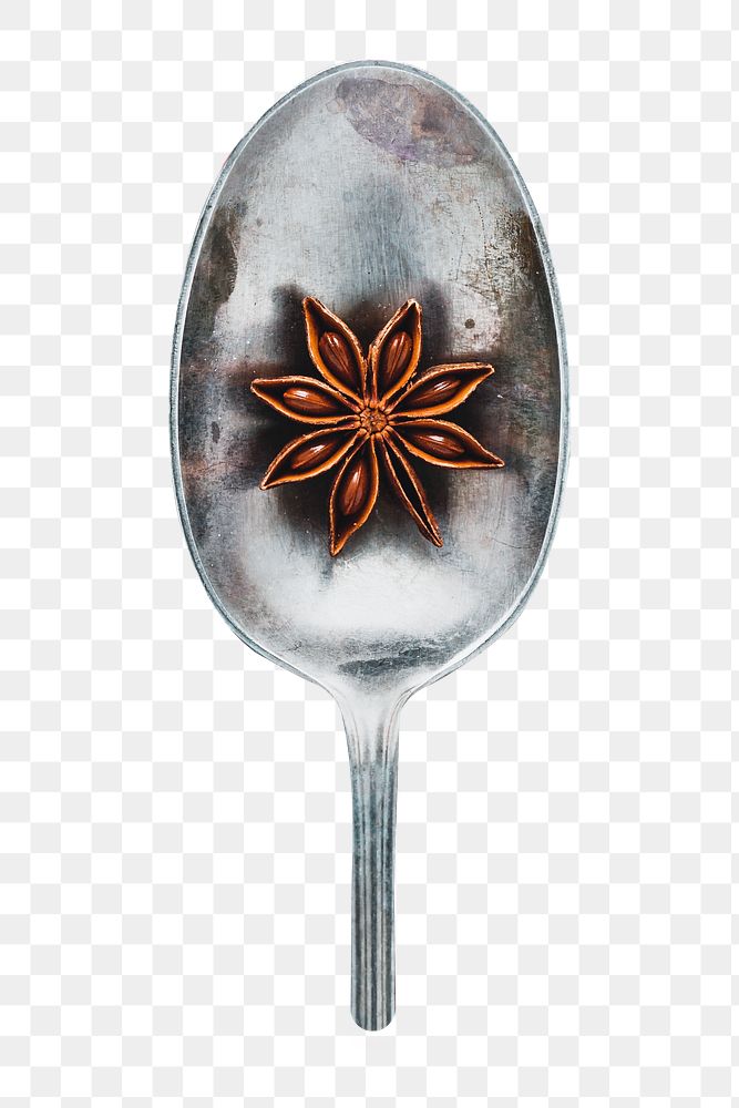 Star anise png sticker, transparent background