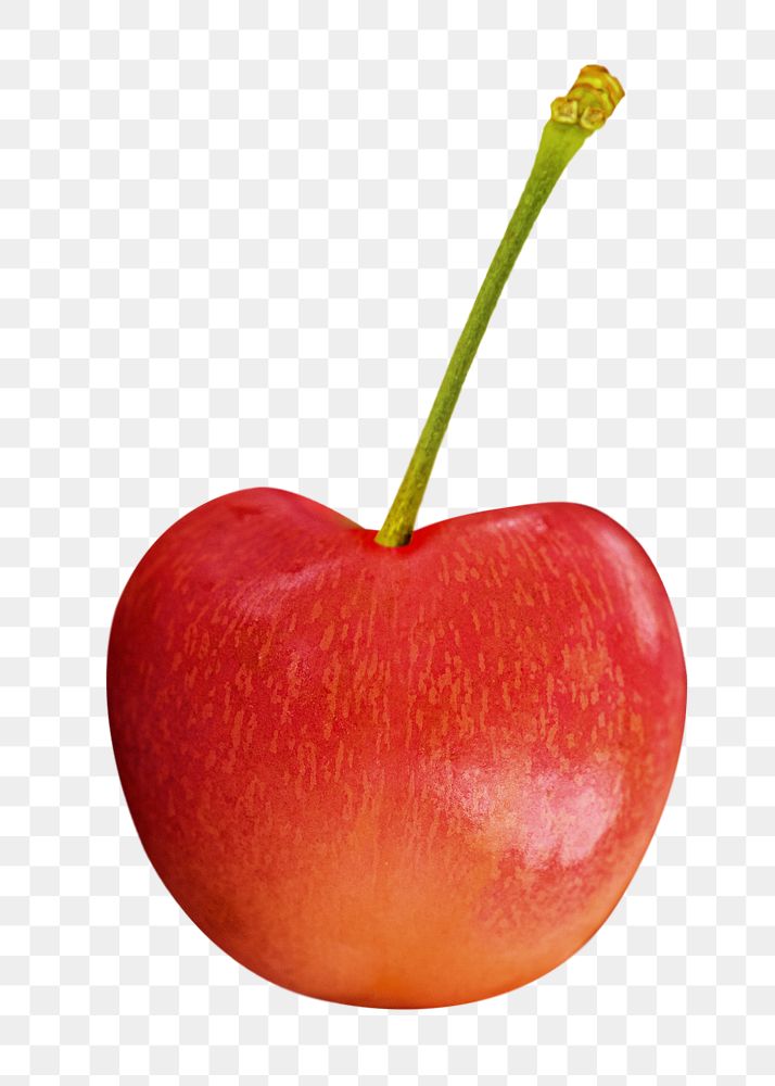 Cherry fruit png food sticker, transparent background