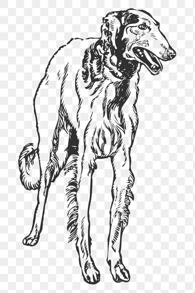 Png Russian hound dog sticker, black & white illustration, transparent background