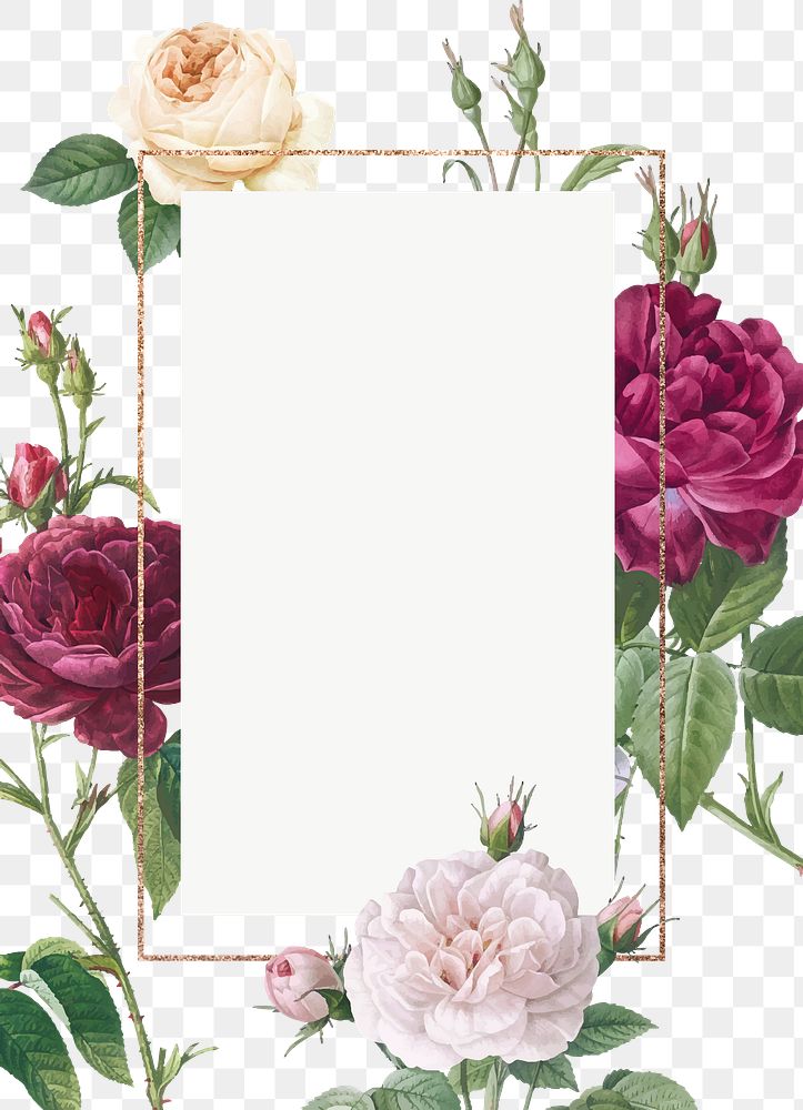 Flower frame png, transparent background | Premium PNG - rawpixel