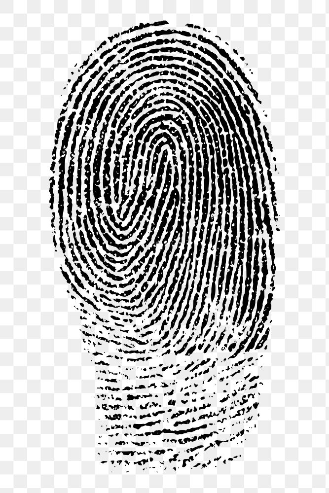 Fingerprint png illustration, transparent background. Free public domain CC0 image.