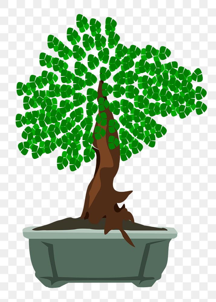 Bonsai plant png illustration, transparent background. Free public domain CC0 image.