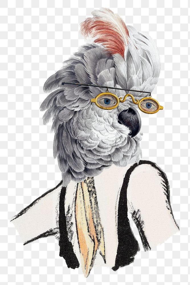 Woman with bird head png sticker, transparent background