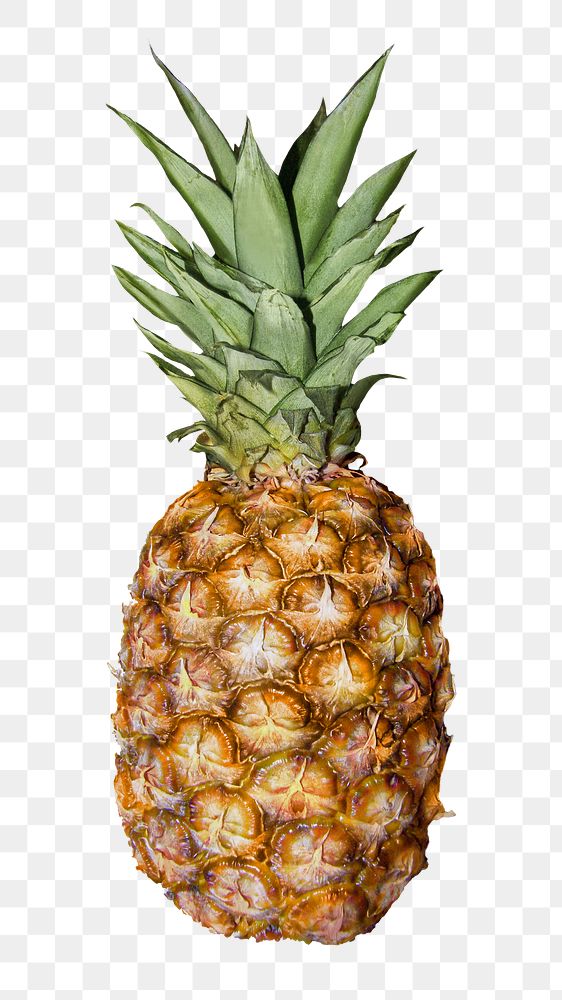 Png pineapple fruit sticker, transparent background