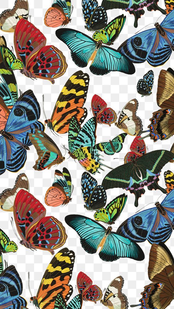 E.A. S&eacute;guy's butterfly png pattern, transparent background, remixed by rawpixel