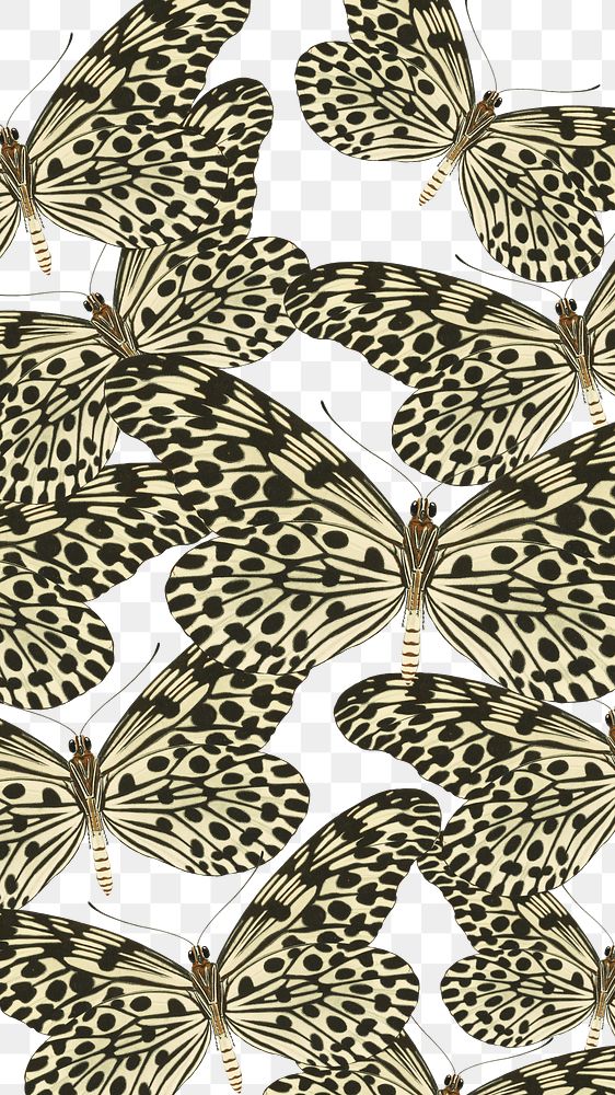 E.A. S&eacute;guy's butterfly png pattern, transparent background, remixed by rawpixel