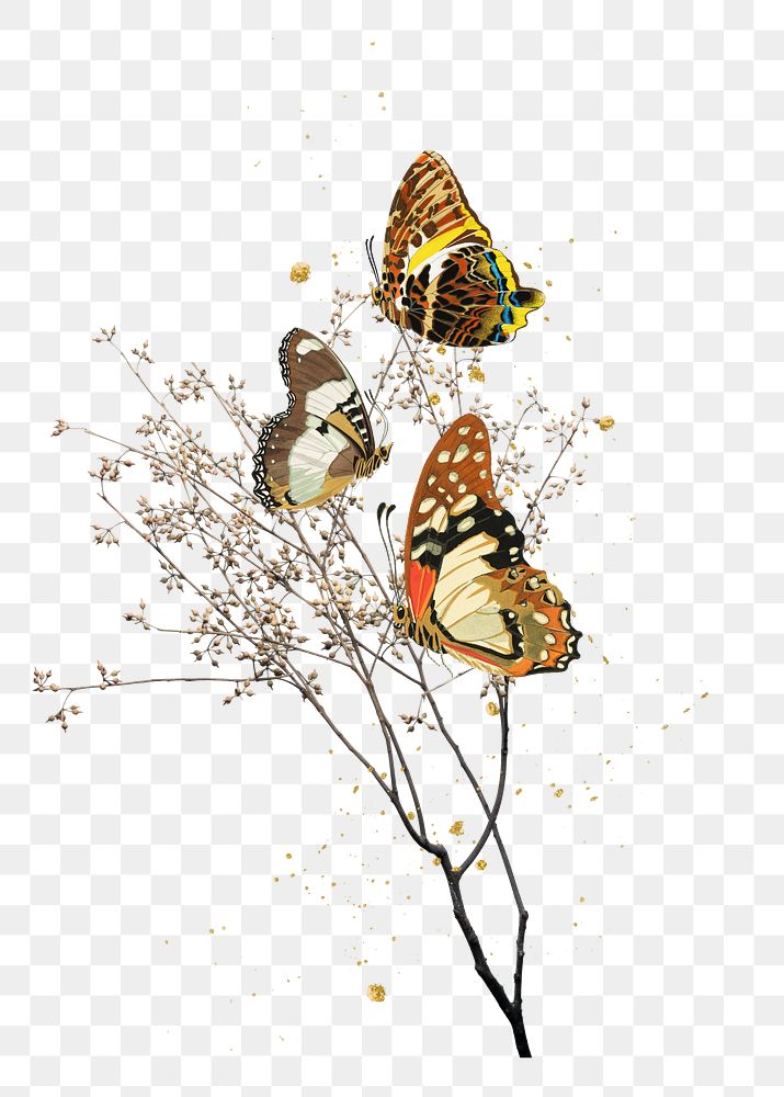 Autumn butterflies png sticker, aesthetic insect remix on transparent background