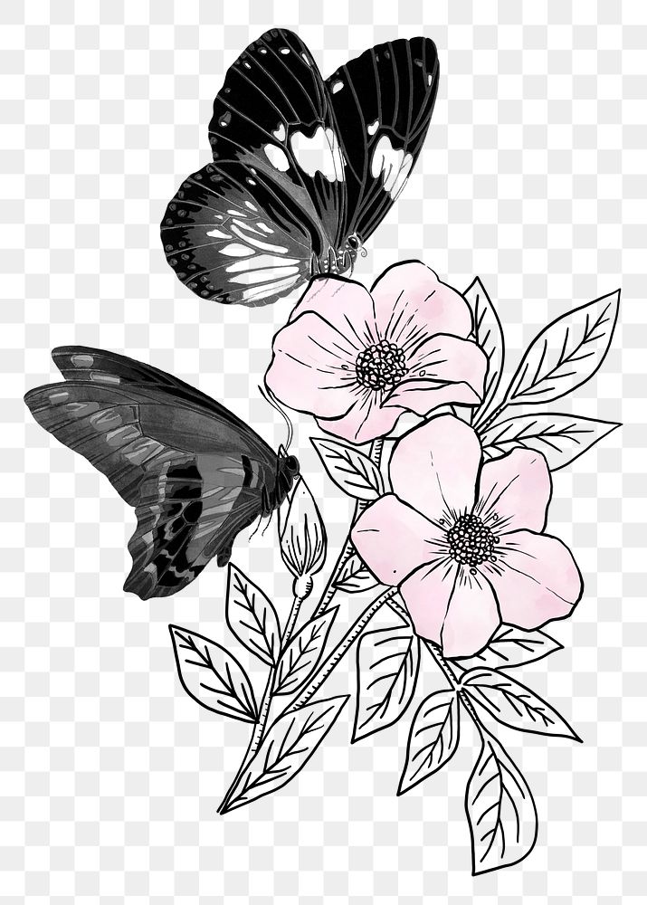 Vintage butterfly png sticker, aesthetic flower on transparent background 
