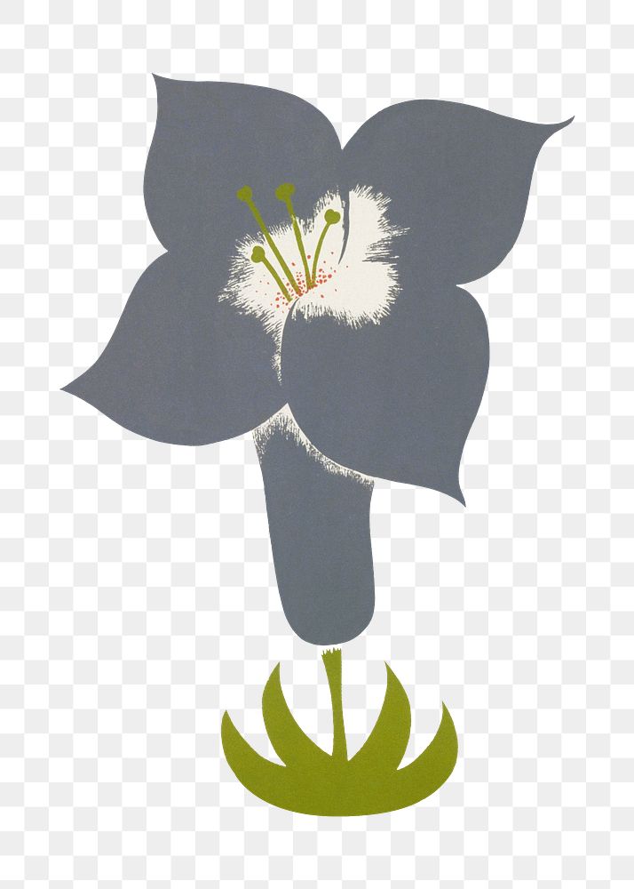 Gray flower png sticker, transparent background.   Remixed by rawpixel.