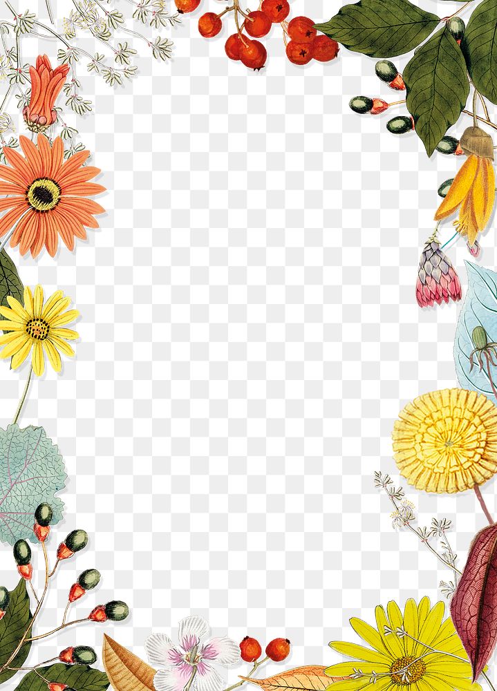 Floral frame png, transparent background
