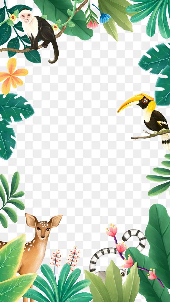 Tropical wildlife png frame, animal illustration, transparent background