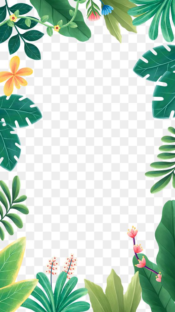 Tropical leaves png frame, botanical illustration, transparent background