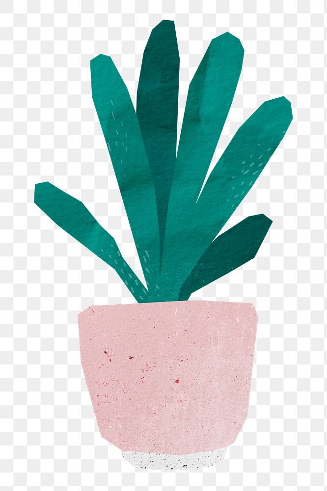 Potted plant png sticker, transparent background