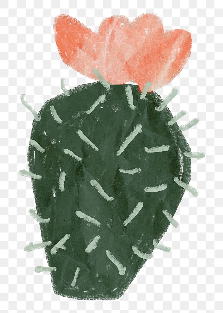 Cute cactus png sticker, transparent background