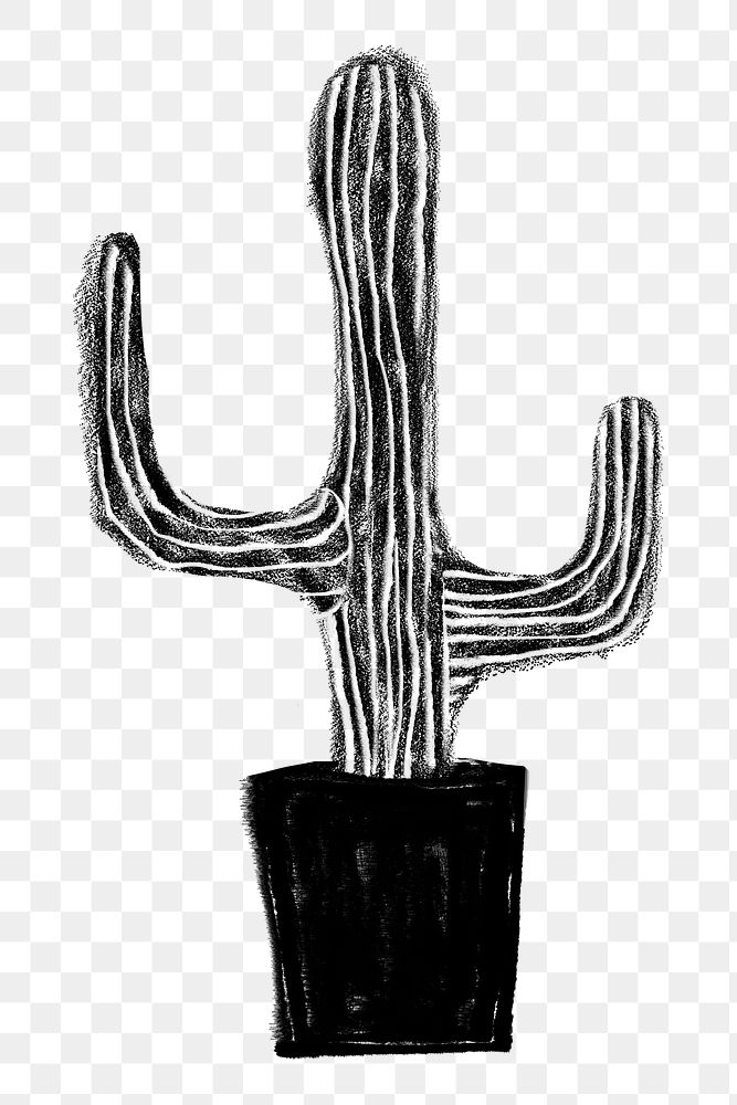 Cute cactus png sticker, desert plant doodle, transparent background